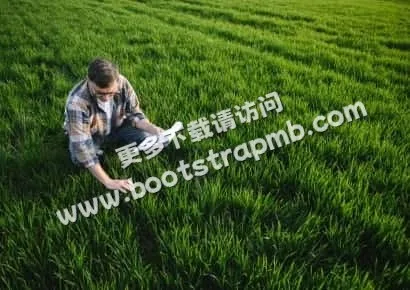 探索体育世界的精彩 - 开云体育下载