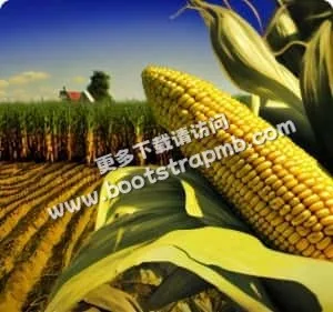 为全球体育爱好者提供服务 - 开云体育下载