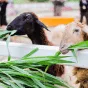 探索体育世界的精彩 - 开云体育下载